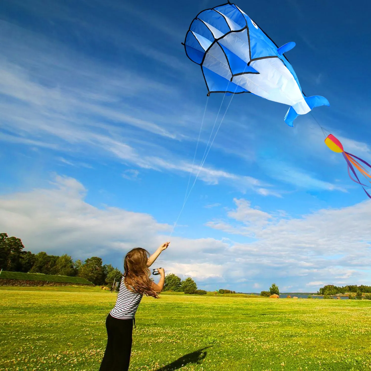 Image 3D Kite Large Blue Dolphin Breeze Beach Kites with Huge Frameless Soft Parafoil Giant,Gift for Kids,Family