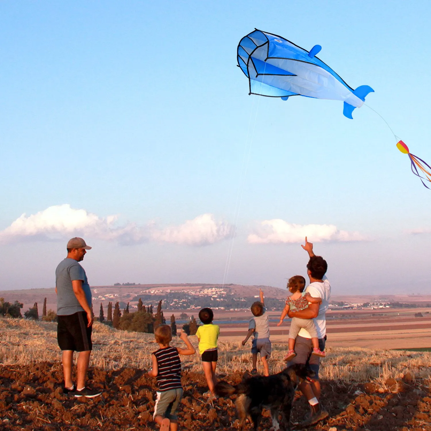 Image 3D Kite Large Blue Dolphin Breeze Beach Kites with Huge Frameless Soft Parafoil Giant,Gift for Kids,Family