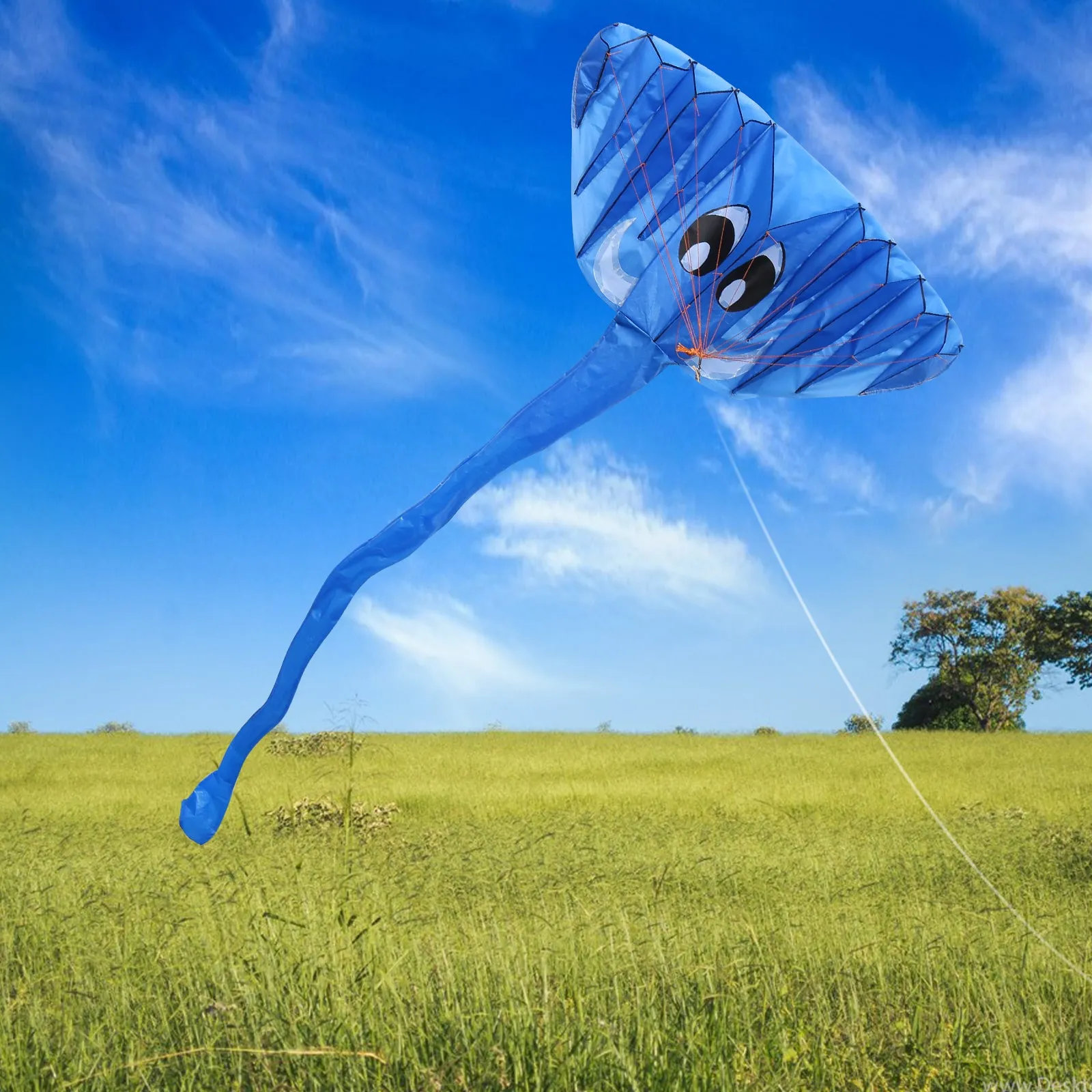 IMAGE 3D Kite Large Blue Elephant Breeze Beach Kites with Huge Frameless Soft Parafoil Giant, Great for Outdoor Games and Activities and Great Gift for Kids